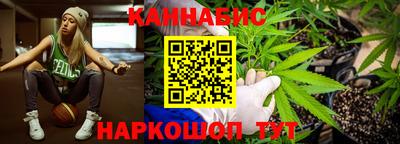 прущие грибы Усть-Илимск