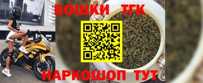 прущие грибы Усть-Илимск