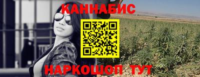 прущие грибы Усть-Илимск