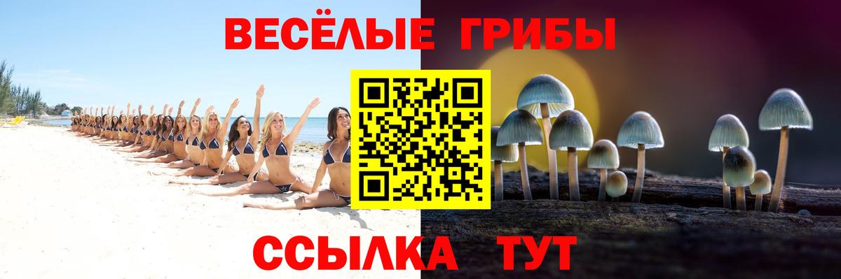 Галлюциногенные грибы Psilocybine cubensis  Вход с VPN  Саянск  купить наркотик  Галлюциногенные грибы Psilocybine cubensis 